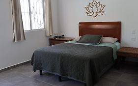 Casa Jardin